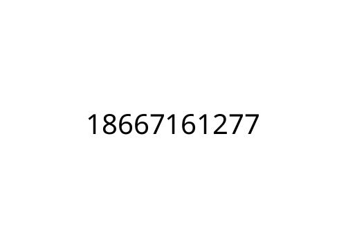 18667161277