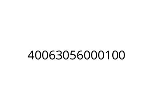 40063056000100