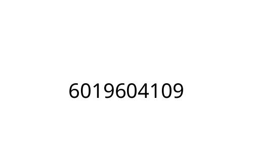6019604109