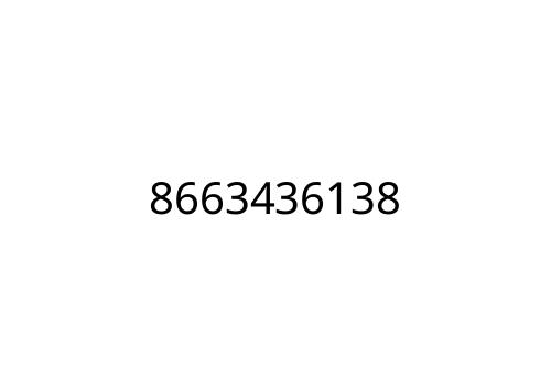 8663436138