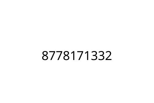 8778171332