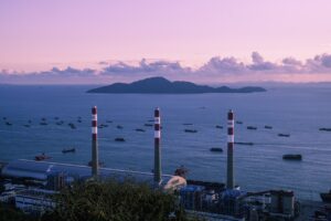 culture news roarcultable