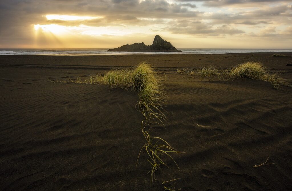 roarcultable latest crypto trends from riproar