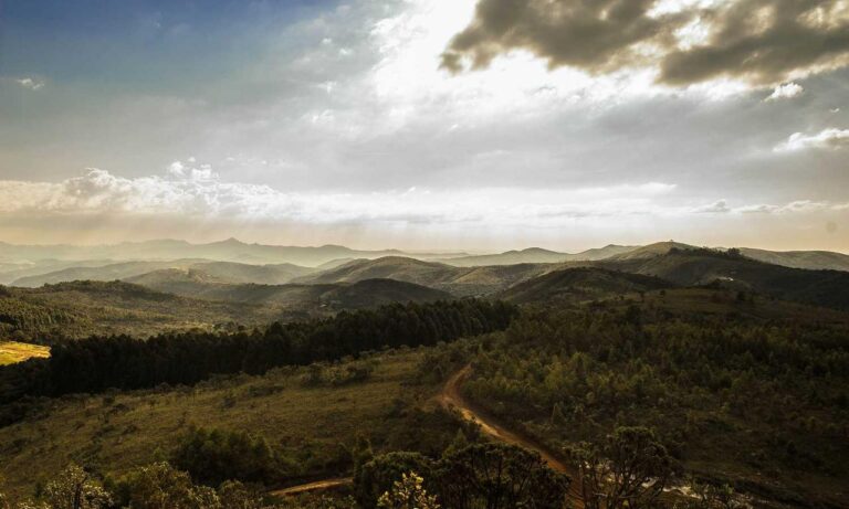 traditional food roarcultable