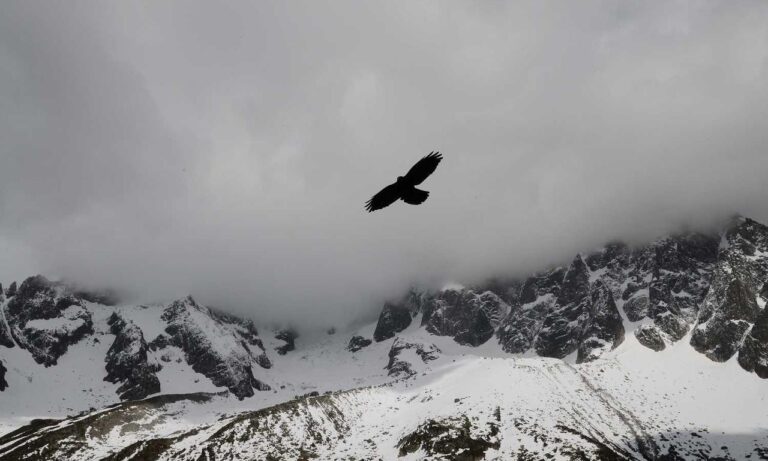 why are nuts bad for tadicurange disease