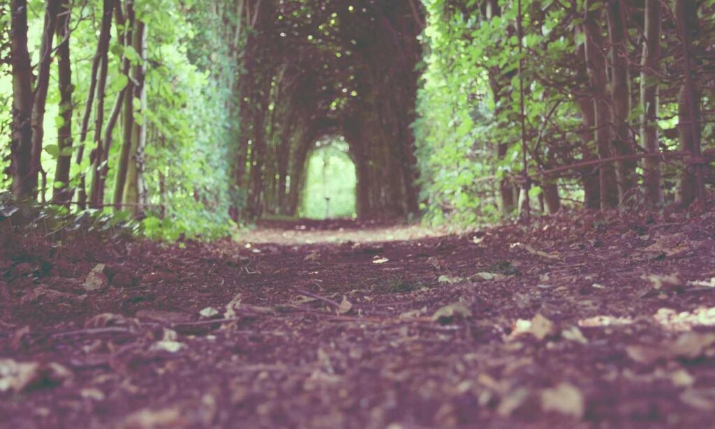 why culture matters in business roarcultable