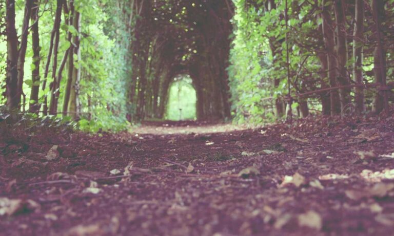 why culture matters in business roarcultable