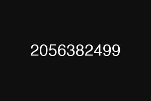 2056382499