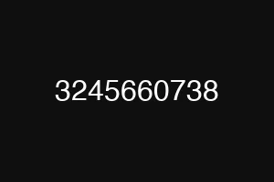 3245660738