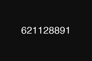 621128891