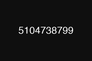 5104738799