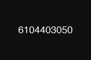 6104403050