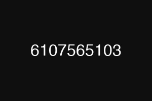 6107565103