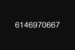 6146970667