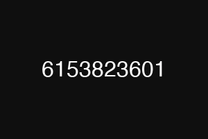6153823601