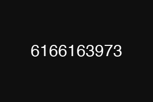 6166163973