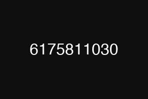 6175811030