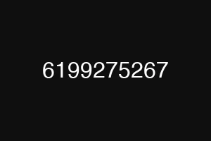 6199275267