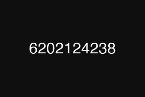 6202124238