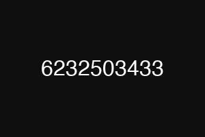 6232503433
