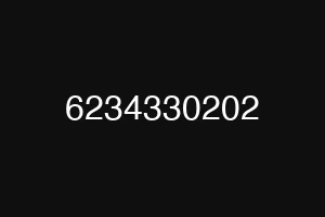 6234330202