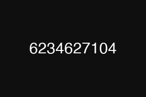6234627104