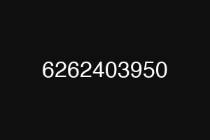 6262403950