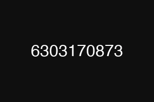 6303170873
