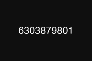 6303879801