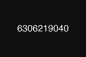6306219040