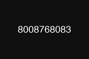 8008768083