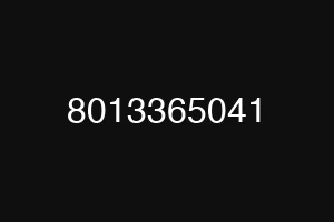 8013365041