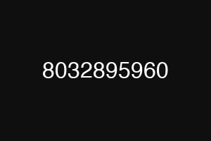 8032895960