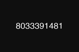 8033391481