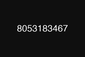 8053183467