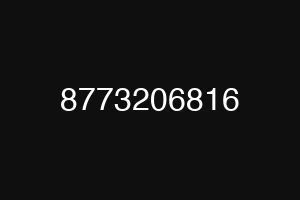 8773206816