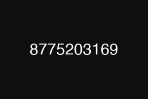 8775203169