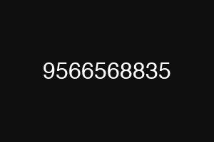9566568835